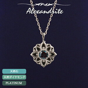 ALThCg lbNX v`i PT900 fB[X uWY t[  XLWG[ ؚ Vv AYL`F[ 6a  AXg[ AM[ S 