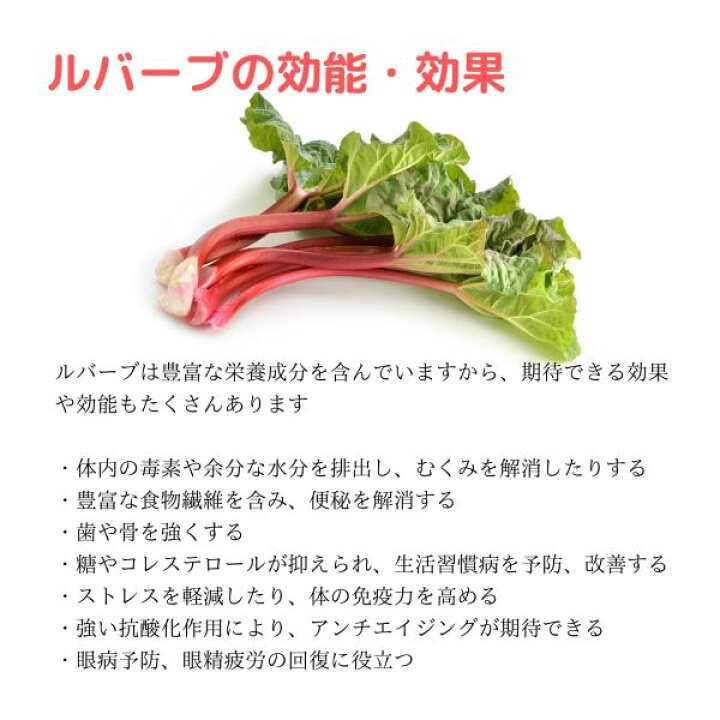 楽天市場 ルバーブティー 赤箱 デトックスダイエットハーブティー 1ケ月分30包 ハーブ茶 ダイエット 自然 ブレンド 便秘 腸内環境 体脂肪 むくみ 肌荒れ 口臭 肩こり 自律神経 不眠 美shopオリヴィア 楽天市場 ルバーブティー 赤箱 デトックスダイエットハーブティー 1ケ月分30包 ハーブ茶 ダイエット 自然 ブレンド 便秘 腸内環境 体脂肪 むくみ 肌荒れ 口臭 肩こり 自律神経 不眠 美shopオリヴィア