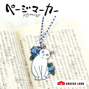 y[W}[J[ LƃAWTC 48863 XehOX  ubN}[J[ vanco oR