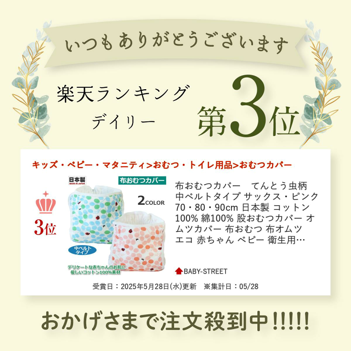 限定値下げ中　エコナップス　布おむつカバー　インサート　まとめ売り 限定値下げ中 エコナップス 布おむつカバー インサート まとめ売り