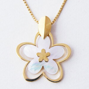 Ԃ̃lbNX L VF CG[S[h Vo[lbNX@zCgf[ WG[ 