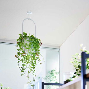 ݂艺tbN R Ki tower ^[ V䂩݂艺łv^[tbN ΂{[hǑΉ ϗtA݂邵ďtbN K[fjOpi  V ϗtA r[ 1