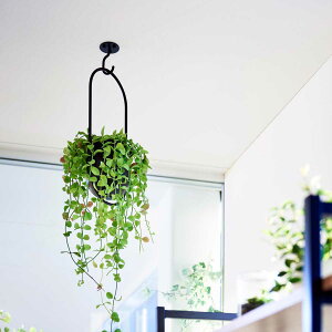 ݂艺tbN R Ki tower ^[ V䂩݂艺łv^[tbN ΂{[hǑΉ ϗtA݂邵ďtbN K[fjOpi  V ϗtA r[ 1