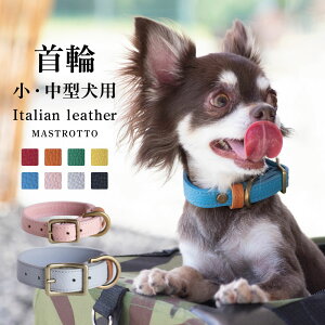  }Xgbg {ihC^AU[ i󒍐Yj ̎ ^ ^ L ybg ObY ybgpi IV 킢 ₳ \tg {v DJ ` ~j`A_bNX