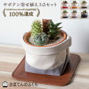 サボテン寄せ植え3点セット 鉢カバー レザーコースター 名入れオプション付き 室内観葉 ミニサボテン 観葉植物 寄せ植え 帆布 デニム 本革 プレゼント ギフト 誕生日 開店祝い 記念日 贈り物 アルティジャーノ インテリア 雑貨 母の日 父の日