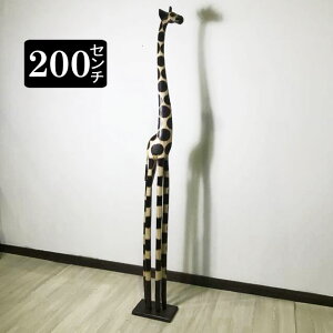 L̃IuWF 200cm 2m  ؒ̓ ؒ̒u ؐ L̒u 񂳂  CeA G AWA u oG IuWF 킢 