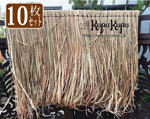 y 10܂Ƃߔ 10offN[|t z AWA  m o AA AWA  10 Zbg ][g 畘 Ԃ  K[{̉ K[z̉ C̉ C