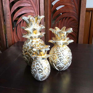 ؐ pCibv Ebh IuWF LTCY 24cm ؒ u u[ sN Vo[ S[h t[c ʕ pC pCAbv AWAG 킢 CeA fBXvC  