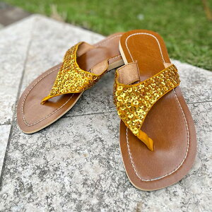 yCeAG  oz  T_ fB[X ؂ ₷ gO   ꂢ LL  F S[h 23`24cm AWA t@bV GXjbN 