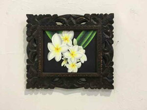 プルメリア インテリア 絵画の人気商品 通販 価格比較 価格 Com