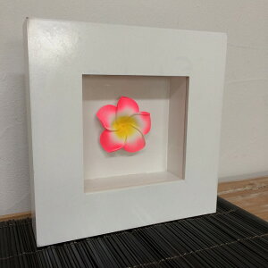 【 アウトレット 在庫処分 スーパーセール 半額 】 アジアン 壁飾り 木枠 オブジェ プルメリア A-1 ピンク花 白枠 インテリア オブジェ ハワイ アジアン バリ雑貨 置き物 アート モダン 玄関
