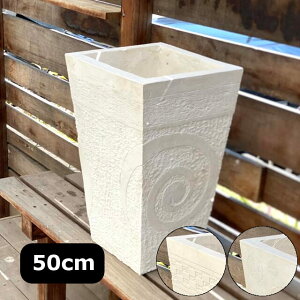 yCeAG  oz Aؔ v^[ p  F zCg ` H50cm 4^Cv t[|bg AWA o   Xg[ K[fjO Xg[|bg n
