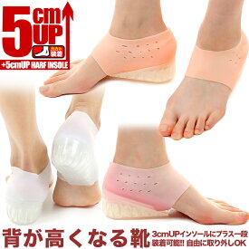 楽天市場 シークレットインソール 靴下の通販