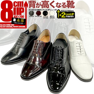 V[NbgV[Y  {v 8cmAbv  uC_V[NbgV[YrWlXV[Y vC Y p[eB[ Ɏς ڐς V[Nb