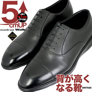 �V�[�N���b�g�V���[�Y 5cm �}�h���X ���f�� MODELLO �{�v ���{�� �v�C �r�W�l�X�V���[�Y �w�������Ȃ� �}�h���X��5cm�A�b�v�V�[�N���b�g�V���[�Y�@mw7930