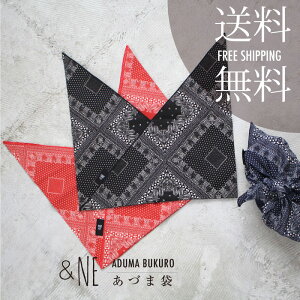 &NE Âܑ yCY[ AhGkC[ C~ ӂ낵 ٓ  ` obN { _ a {W GRobO GRobN GR W Mtg v[g 蕨 `O