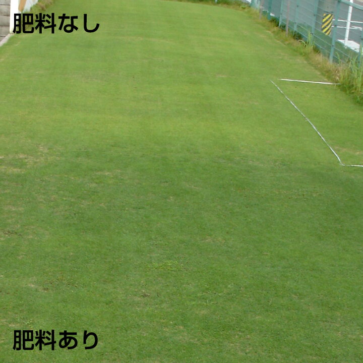 楽天市場 ゴルフ場も太鼓判 バロネス 芝生の肥料 5kg 緩効性ib窒素入り化成肥料 細粒タイプ 10 10 10 粒状 芝のお手入れ 共栄社 芝生 のことならバロネスダイレクト