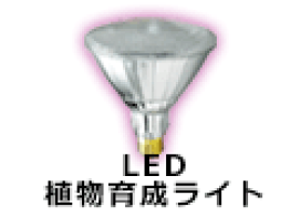 楽天市場】Nicolaudie ニコラウディー SLESA-U9 Nicolaudie Sunlite