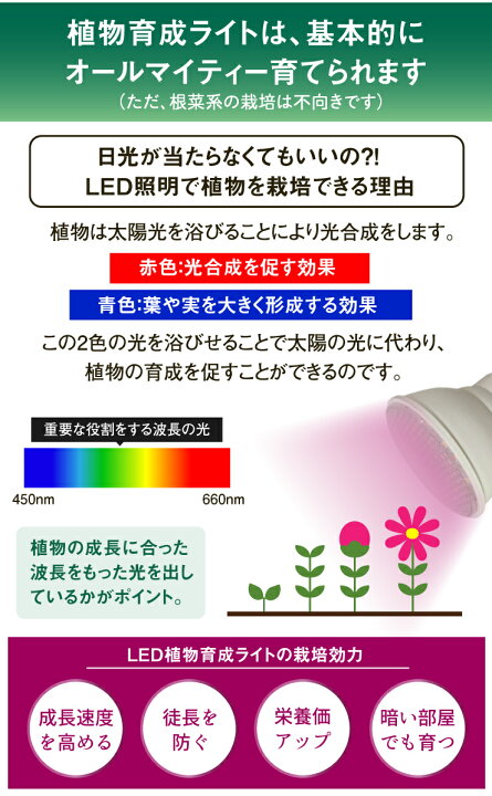 楽天市場 Led 植物育成 水耕栽培 Ledライト 観葉 植物 育成 ガーデニング 植物育成ライト E26 赤 青 Clipe26 Lg7e26 ビームテック ビームテック