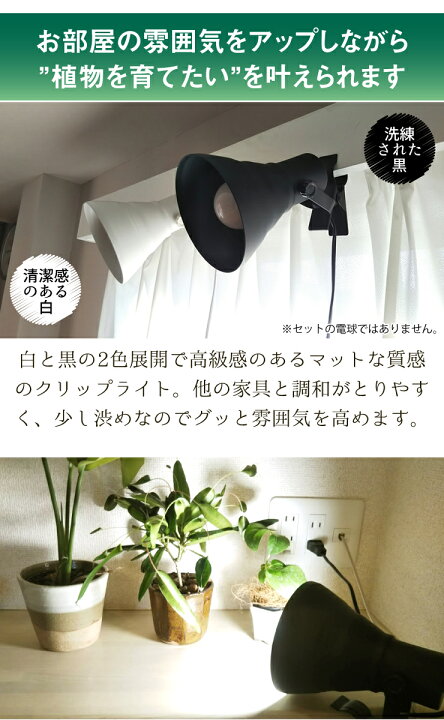 楽天市場 Led 植物育成 水耕栽培 Ledライト 観葉 植物 育成 ガーデニング 植物育成ライト E26 赤 青 Clipe26 Lg7e26 ビームテック ビームテック