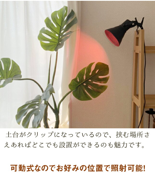 市場 15w 白 植物育成 Led植物ライト スポットライト 口金e26 赤660nmled使用