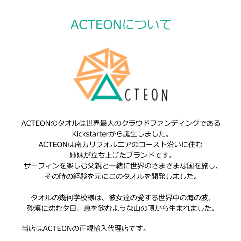 楽天市場】ACTEON パッキングキューブ Packing Cube アクテオン(旅行
