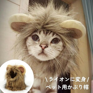 L Ԃ  LpXq pXq L蕨 CI  EBbO Xq ϐg RXv nEB ybg lR Ck RX`[  SNS f ^  L ybg 킢