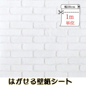 DPS-24 Xg[ ǎK ͂ǎV[ 50cmx1mP p[ ǎ̏ォ\ ǎ NX h ؖ DIY ͂ǎ  CeA V[g ^C K  EH[X