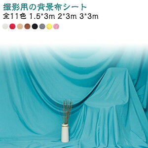 z × ybg  BeV[g 150cm  × xr[ wi 300cm 200cm 傫 l B Rbg  Be wiz V[g BepwiV[g Ԃ BeV[g qǂ XN[  ʐ^  z