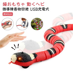 d UQ L  얞 dCwr ybg nEB   XgX ^s  usb[d wr AȈړ̃wr  