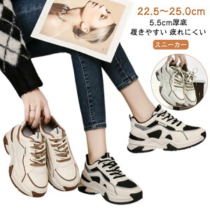  C fB[X  EH[LOV[Y Xj[J[ JWAV[Y  q[5.5cm V[Y gAbv IV r ₷ Xj[J[ ɂ bV ʋC 