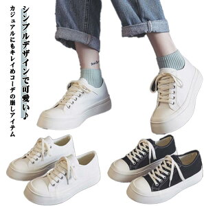 Xj[J[ C [Jbg LoX JWA y ؂ V[Y@tbgV[Y LoX JWA Vv ɂȂ ₷ Ȃ n Vv ₷ 