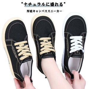 Xj[J[ fB[X  [Jbg ꂢ Vv n LoX 􂦂 NbVC\[ [XAbv  ₷ JWA y 