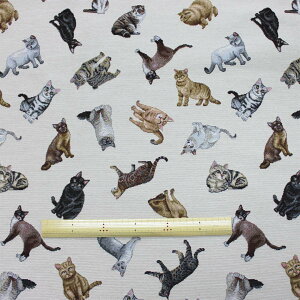 yC|[gt@ubNzlR XyC WK[hD SuD