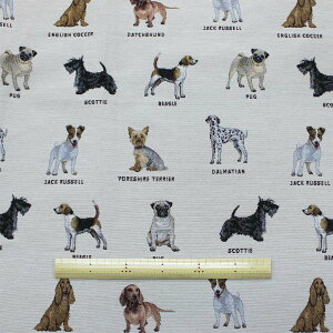 yC|[gt@ubNz XyC WK[hD SuD