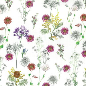 yLIBERTY FABRICSz 2024H~ C^A^i[ Polka Floral |JEt[ 363j4216-24au oeBEt@ubNX