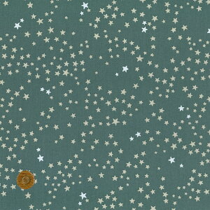 yLIBERTY FABRICSz NX}X ^i[ Nebulae lr[  4775645p-j24a oeBEt@ubNX
