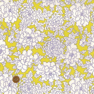 yLIBERTY FABRICSz 2025t C^A^i[ Costume RX`[ 3635109-25bu oeBEt@ubNX