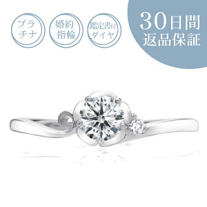 y30ԕiۏ؁zVR_Ct v`i wցuuW2v0.2Jbg^GJ[^SI^GNZgJbg 0.2ct Ӓ菑t GQ[WO 󖳗 TCY TCYQ[W