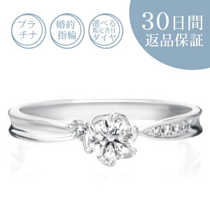 y30ԕiۏ؁zVR_Ct v`i wցuGC~[v0.2Jbg^GJ[^SI^GNZgJbg 0.2ct Ӓ菑t GQ[WO 󖳗 TCY TCYQ[W