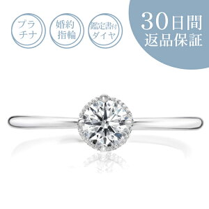 y30ԕiۏ؁zVR_Ct v`i wցu~NE1v0.2Jbg^GJ[^SI^GNZgJbg 0.2ct Ӓ菑t GQ[WO 󖳗 TCY TCYQ[W