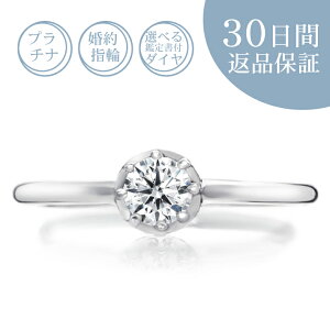 y30ԕiۏ؁zVR_Ct v`i wցu~NE2v0.2Jbg^GJ[^SI^GNZgJbg 0.2ct Ӓ菑t GQ[WO 󖳗 TCY  a