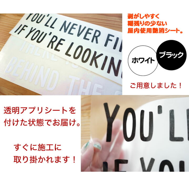 楽天市場 プロ仕様屋内用シート 転写式 英文デザインウォールステッカー１ 高品質 届いてすぐ簡単施工 綺麗にはがせて賃貸でも安心 ベルクロッシュ キッド