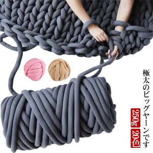 `L[jbg 250g 20F ɑ ю `L[[ jbg[ A[jbeBO w҂ ɑю  ю jbg [ | ҂ݕ  `L[jbg[ nhCh u