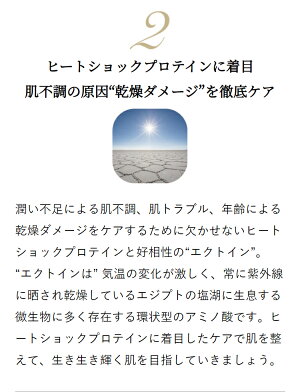 【楽天大感謝祭の期間ポイント10倍】ストレピアプラチナリフティフェイスアップクリームホイップのように軽い高保湿美容クリーム30g1個|STREPAIRSTREPAiRヒートショックプロテインHSP年齢肌乾燥肌敏感肌40代50代60代温活