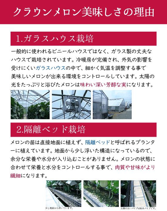 静岡 アールスメロン 白5玉 隔離栽培 アローマ 隔離栽培 マスクメロン 静岡 アールスメロン 白5玉 隔離栽培 アローマ マスクメロン