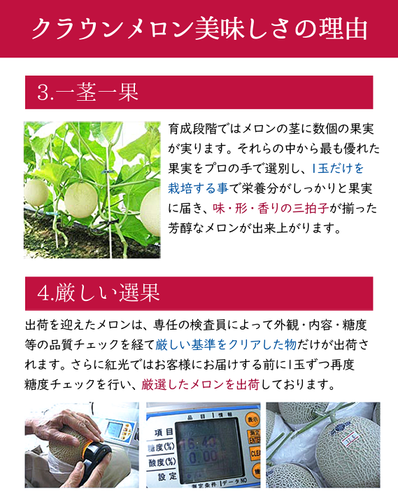楽天市場】【即日出荷(営業日12:00まで(定休日除く)】【送料 楽天市場】【即日出荷(営業日12:00まで(定休日除く)】【送料