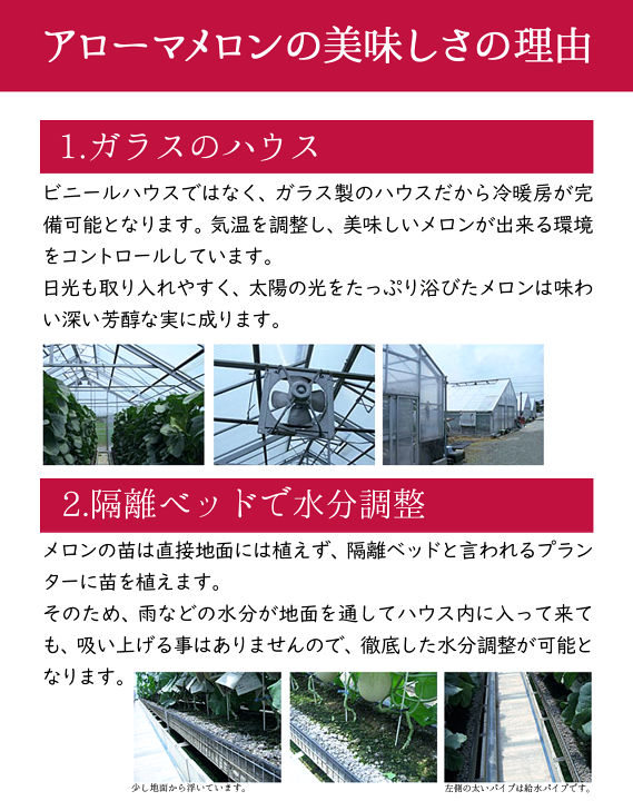 楽天市場】【即日出荷(営業日12:00まで(定休日除く)】【送料 楽天市場】【即日出荷(営業日12:00まで(定休日除く)】【送料