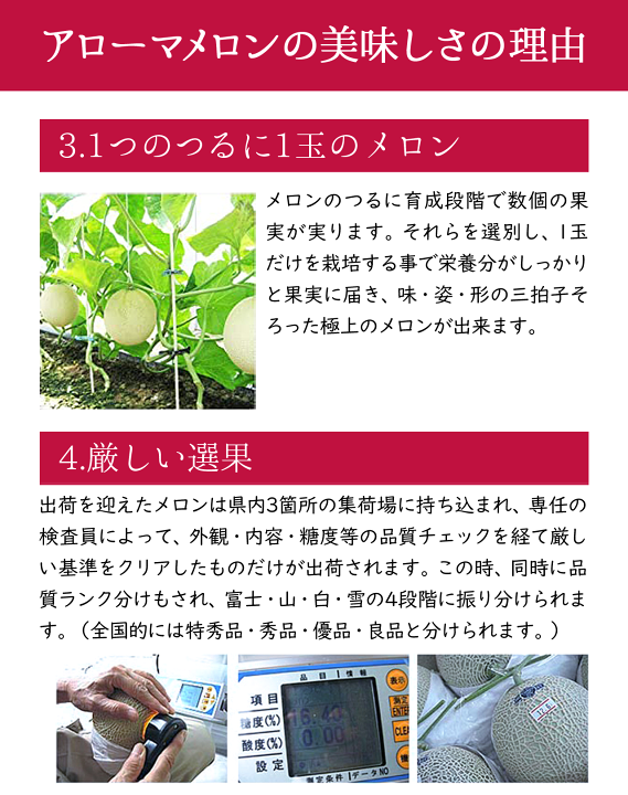 楽天市場】【即日出荷(営業日12:00まで(定休日除く)】【送料 楽天市場】【即日出荷(営業日12:00まで(定休日除く)】【送料