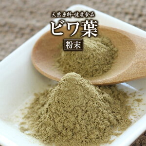 rt  100g 1 Ns ̂܂ NHi Y rn т тt pE_[  Tv Tvg N T|j -Je r^~ ^j JE  h